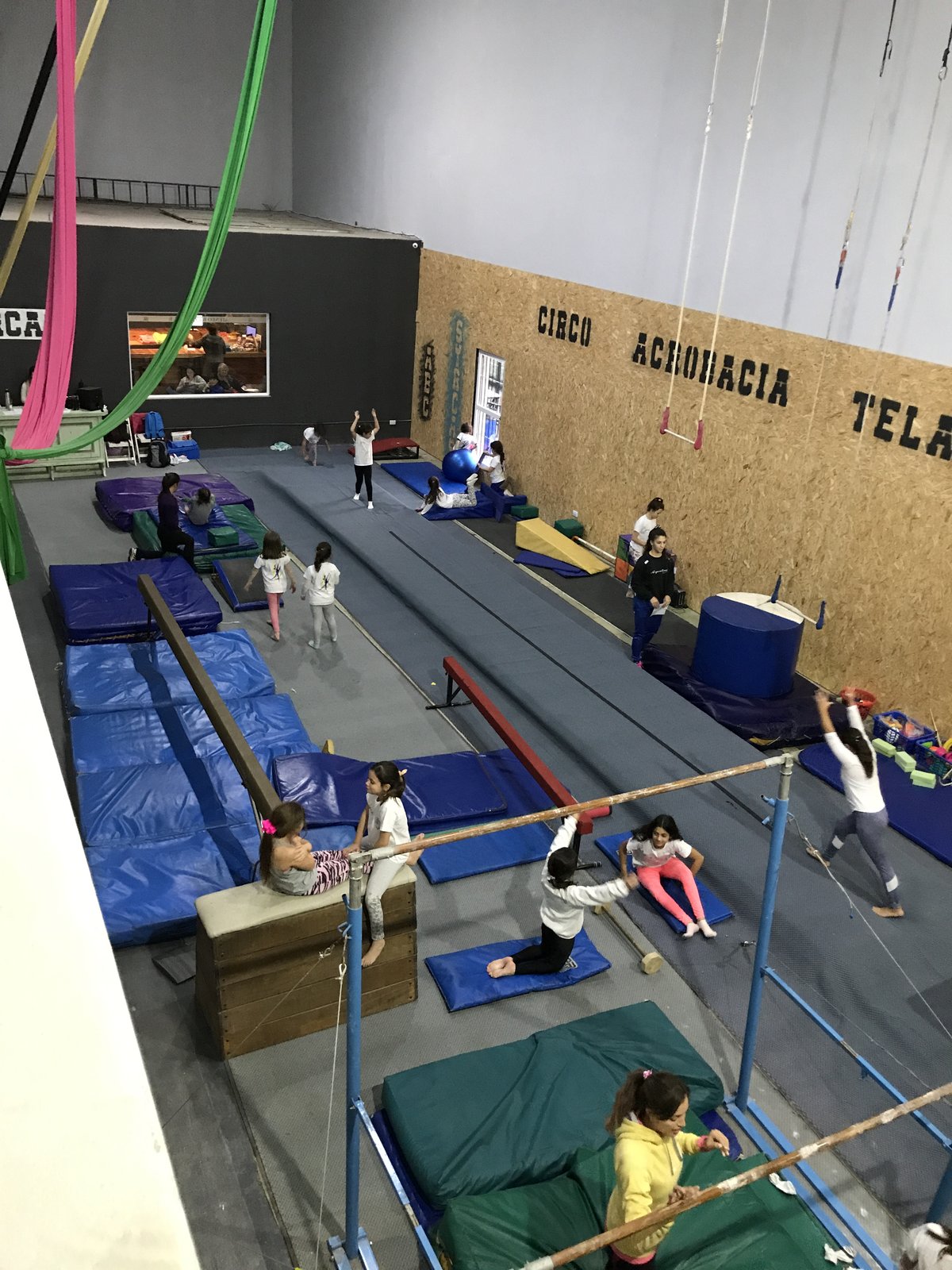 Chicas entrenando gimnasia artística en Syrcas
